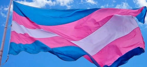 bandeira_trans